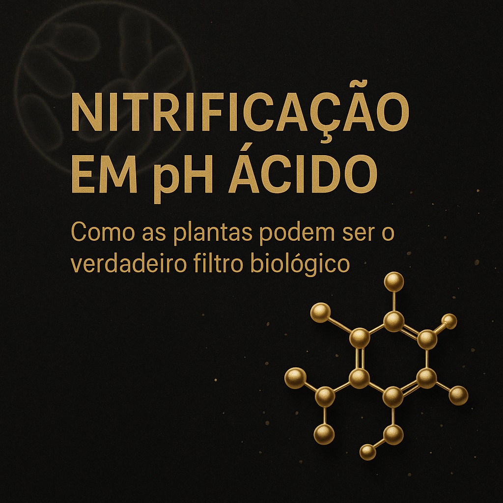 Como as Plantas Podem Ser o Verdadeiro Filtro Biológico nos Aquários Plantados