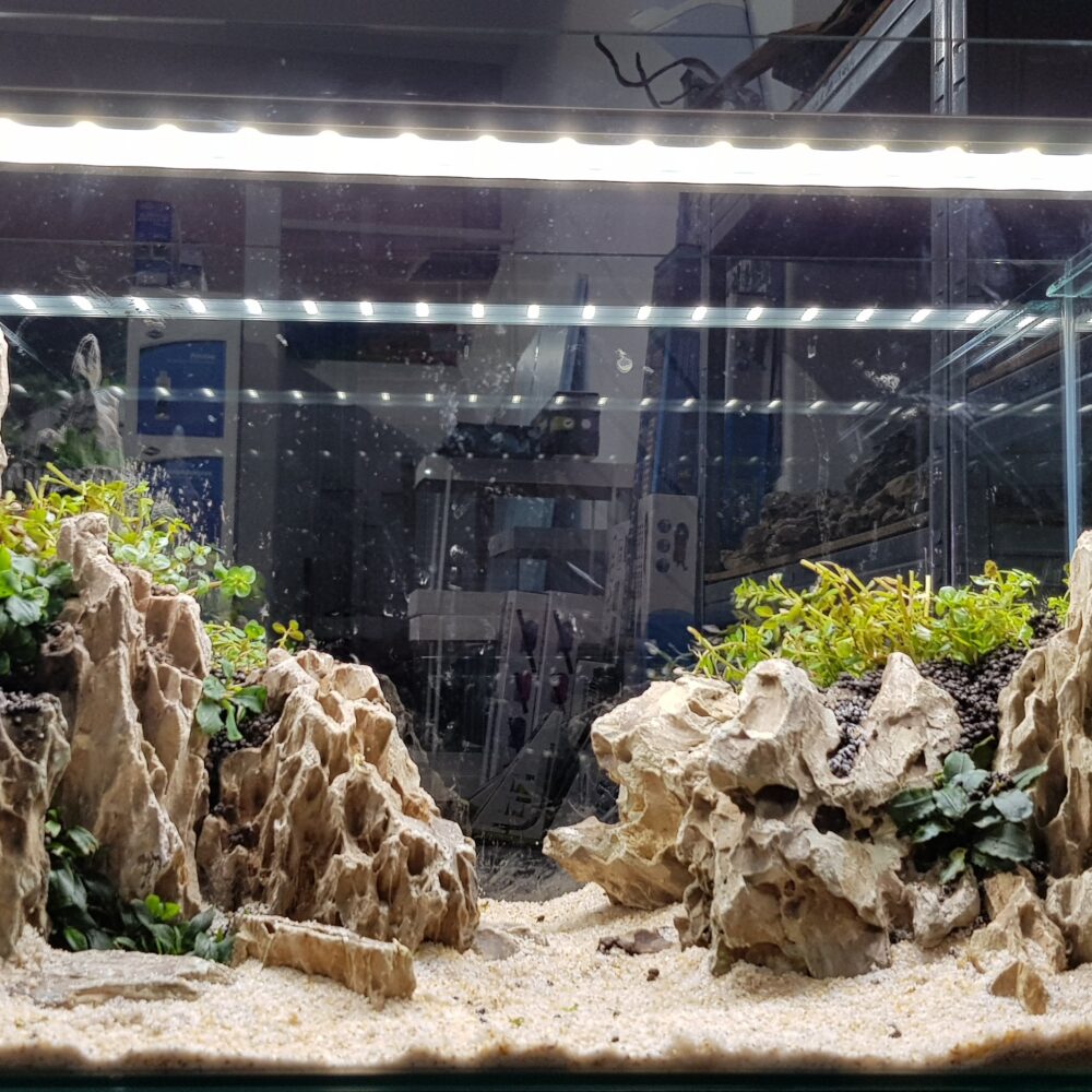 20180203_173651