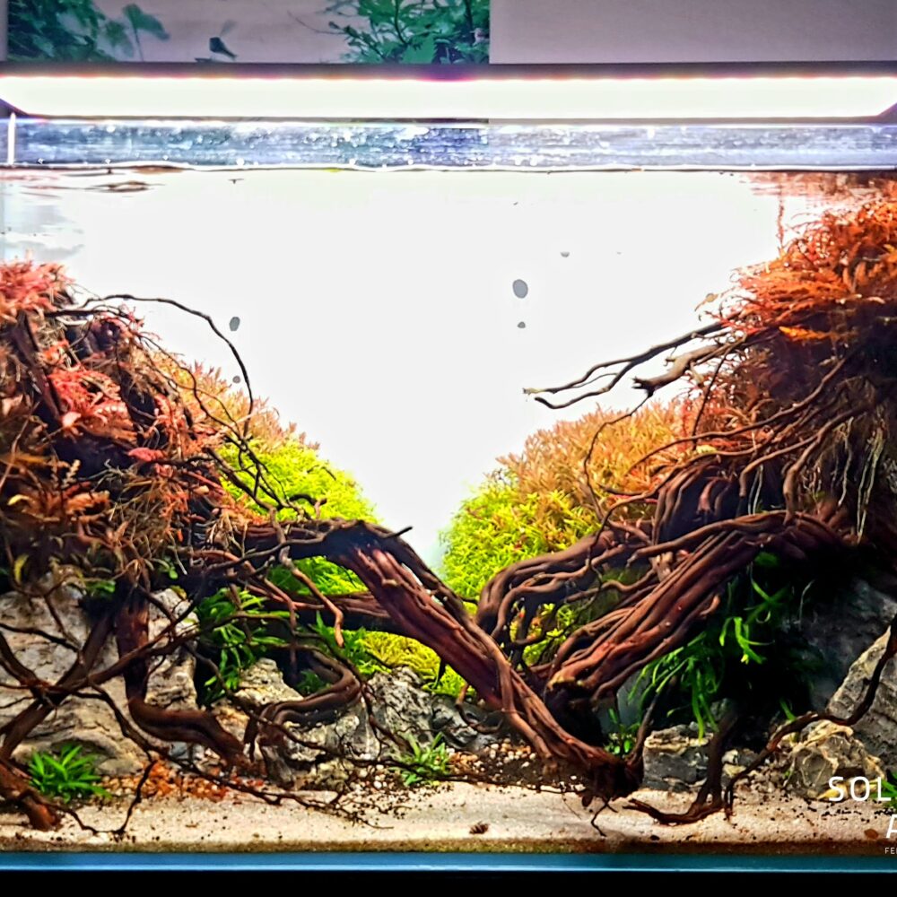 20200107_211320